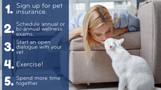 New Year's Resolutions for You and Your Pet