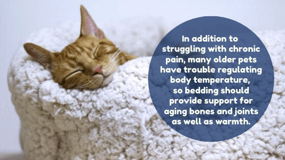 Cat sleeping in plush cat bed: " In addition to struggling with chronic pain, many older pets have trouble regulating body temperature, so bedding should provide support for aging bones and joints as well as warmth."