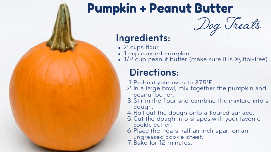 Pumpkin and Peanut Butter Dog Treat Recipe