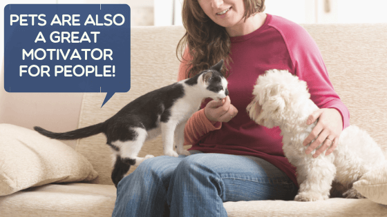 Woman pets animals on couch