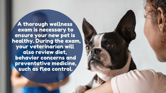 Dog with family at vet office: "A thorough wellness  exam is necessary to ensure your new pet is  healthy. During the exam, your veterinarian will  also review diet,  behavior concerns and preventative medicine, such as flea control."