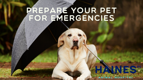 Disaster-Preparedness-tips