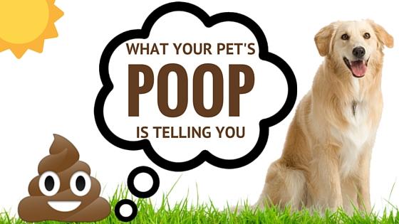 pet-poop